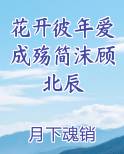 花开彼年爱成殇简沫顾北辰