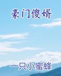 豪门傻婿