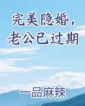 完美隐婚，老公已过期