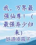 我，万界最强仙尊！（最强弃少归来）