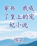 穿书：我成了皇上的宠妃小说