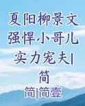 夏阳柳景文强悍小哥儿实力宠夫|简