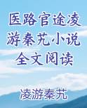 医路官途凌游秦艽小说全文阅读
