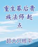 重生幕后贵族法师 起点