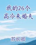 我的26个高冷未婚夫