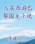 人在西游已娶国主小说