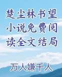 楚尘林书望小说免费阅读全文结局