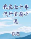 我在七十年代开宝箱小说