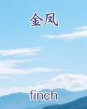 金凤
