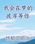 我会在梦的彼岸等你