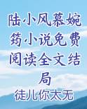 陆小风慕婉筠小说免费阅读全文结局