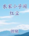 农家小子闯红尘