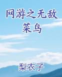网游之无敌菜鸟