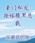 豪门私宠：拒嫁腹黑总裁