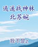 逍遥战神林北苏婉全本免费阅读