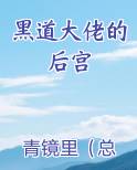 黑道大佬的后宫完结小说