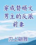 穿成赘婿文男主的反派前妻