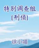 特别调查组[刑侦]