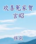 欢喜冤家贺言昭