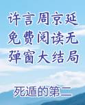 许言男主