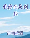 我修的是剑仙