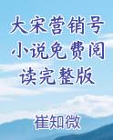 大宋营销号小说免费阅读完整版
