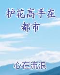 护花高手在都市