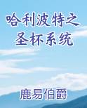 哈利波特之圣杯系统小说排行榜