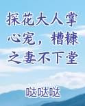 探花大人掌心宠，糟糠之妻不下堂免费观看