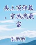 头上顶弹幕，京城我最富