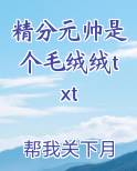 精分元帅是个毛绒绒txt