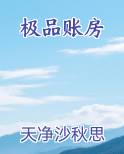 极品账房