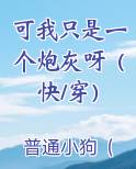 可我只是一个炮灰呀（快/穿）