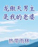 龙傲天男主是我的老婆免费听书