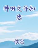 种田文 小说
