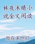 林夜沐晴小说全文阅读