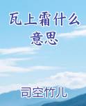 瓦上霜什么意思电子书