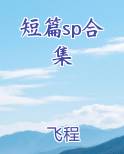 短篇sp合集