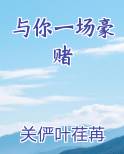 与你一场豪赌