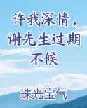 许我深情，谢先生过期不候