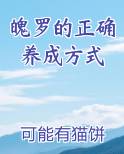 魄罗的正确养成方式