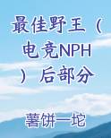 最佳野王（电竞NPH）后部分