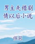 男主走错剧情以后小说