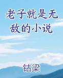 老子就是无敌的小说