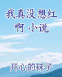 我真没想红啊 小说