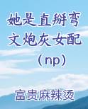她是直掰弯文炮灰女配（np）