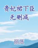 贵妃裙下臣无删减