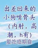 出差回来的小狗啃骨头（内射，高潮，h有）
