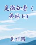 见微知着（弟妹 H）原著小说