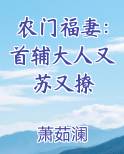 农门福妻：首辅大人又苏又撩